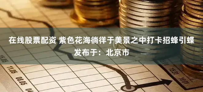 在线股票配资 紫色花海徜徉于美景之中打卡招蜂引蝶发布于：北京市