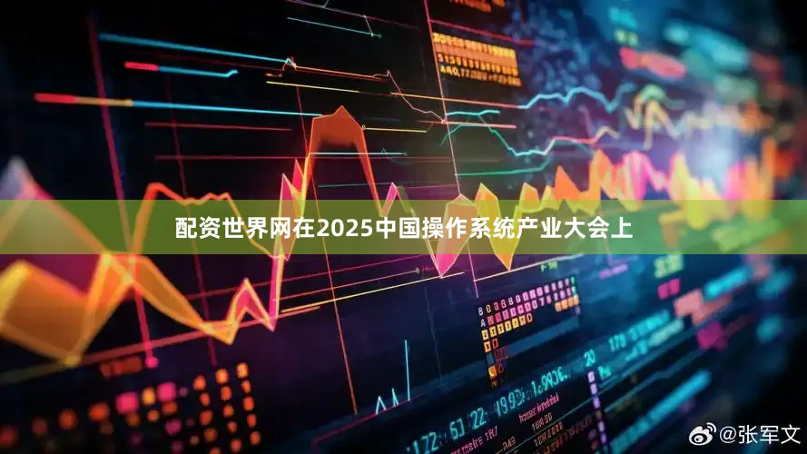 配资世界网在2025中国操作系统产业大会上